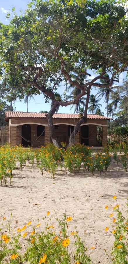 Pousada Vila Mangue Seco Jijoca de Jericoacoara Exterior photo